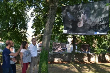 L’association Chauve-Souris Auvergne a installé une dizaine de panneaux dans le parc