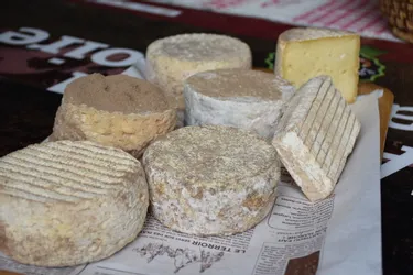 Artisou : la Haute-Loire veut sa labellisation AOP pour son fromage emblématique