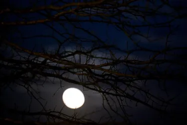 Magical moments of full moon