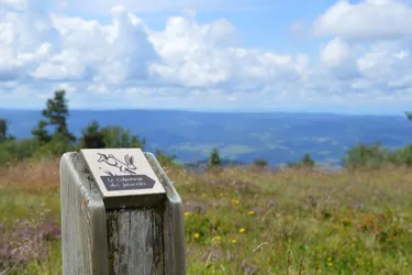 La randonnée emblématique du Livradois-Forez, le Colporteur des jasseries à Valcivières (Puy-de-Dôme) comme si vous y étiez