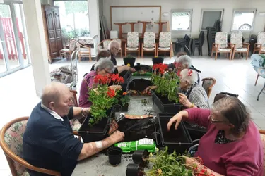 Les résidents de l’Ehpad plantent des fleurs