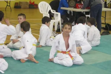 La belle régularité des jeunes judokas