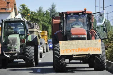 Puy-de-Dôme : mobilisation ce jeudi de 500 agriculteurs sur 280 tracteurs