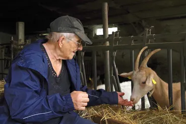 L'éleveuse de chèvres de 73 ans de la Creuse n'a toujours pas de repreneur pour sa ferme