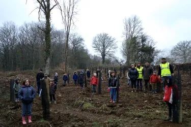 Les enfants de l’école ont reboisé une parcelle de forêt