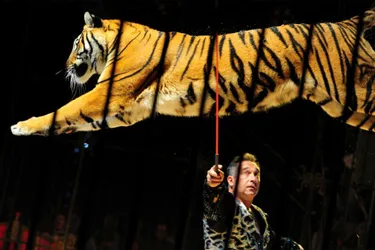 Le cirque assurera six représentations à l’aire de la Ponétie