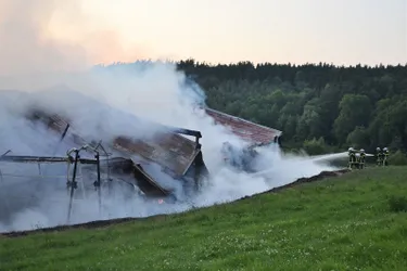 33 bovins périssent dans l'incendie d'un bâtiment agricole