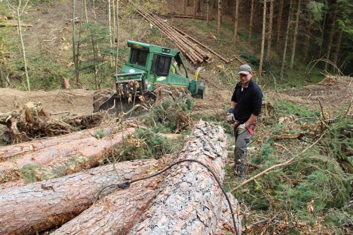 Débardeur Humour “Je Peux Pas Je Dois Faire Du Bois” – Pour Bûcheron, Forestier, Fan De Tronçonneuse