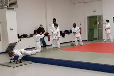La ligue d'Auvergne de judo accuse une baisse de 35% de licenciés avec la pandémie