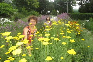 Cent espèces de fleurs pour Patricia Moeuf, artisane florale