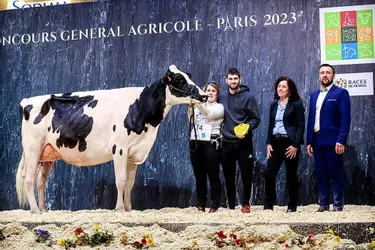 Pégase, élevée à Lurcy-Lévis, championne des Prim’Holstein au salon de l'agriculture à Paris