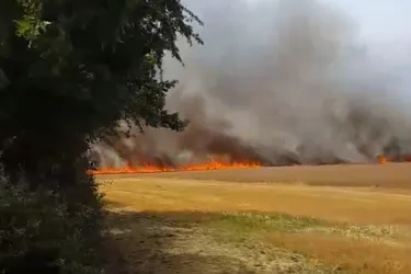 10 hectares d'orge partis en fumée à Chevagnes (Allier) [VIDEO]