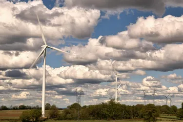 Projets de parcs éoliens dans l'Allier : la Région "s'y s'opposera systématiquement si les communes et les habitants étaient contre"