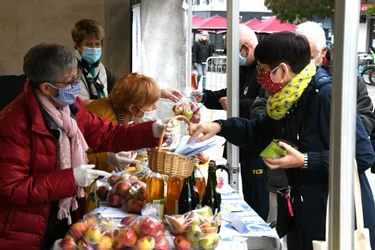 La 8e Fête des pommes du Kiwanis Femmes en Bourbonnais, c'est ce samedi, à Moulins (Allier)