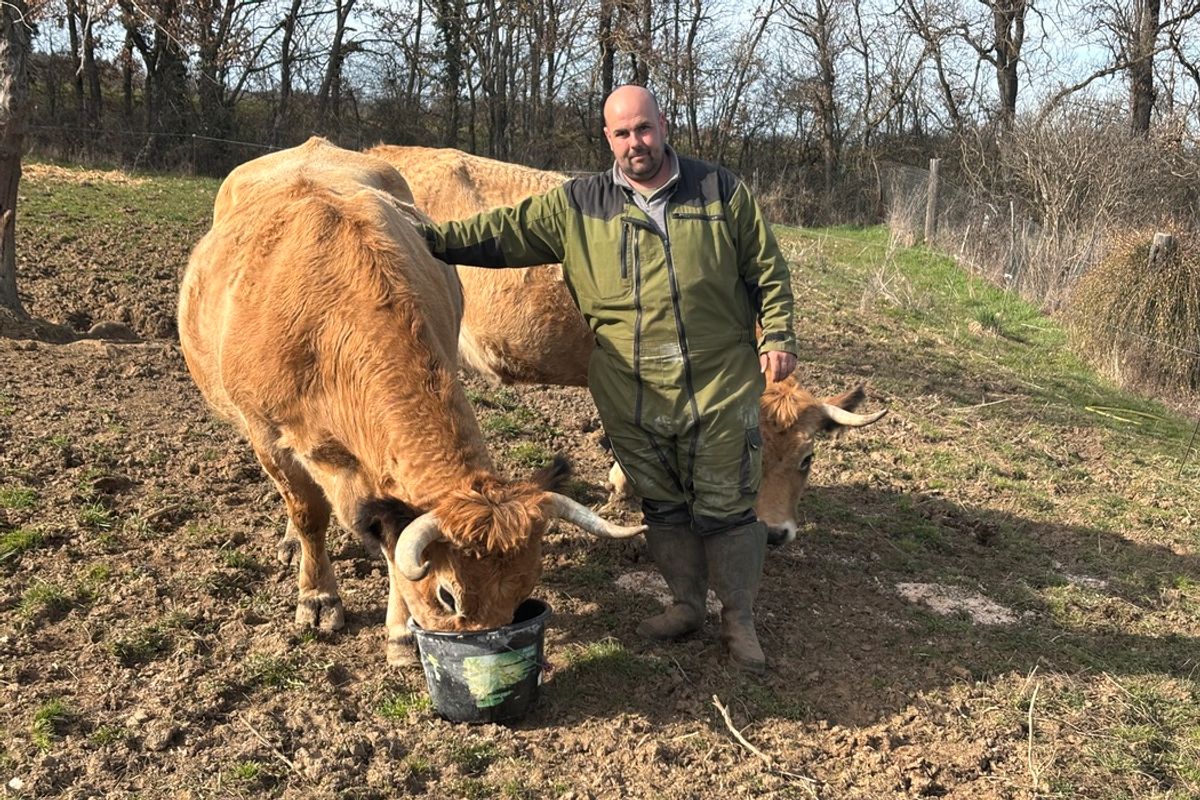 Produire, vendre et livrer : le quotidien d’un agriculteur de Haute-Loire