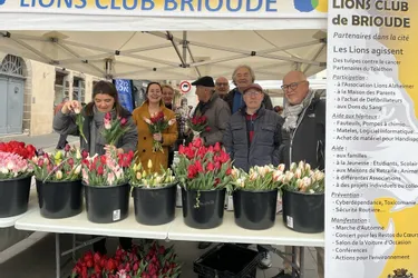 Belles ventes de tulipes contre le cancer