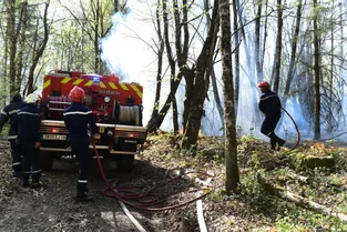 Ce qu'il faut retenir des deux incendies qui ont détruit 65 hectares de forêt à Espagnac et Pandrignes (Corrèze)