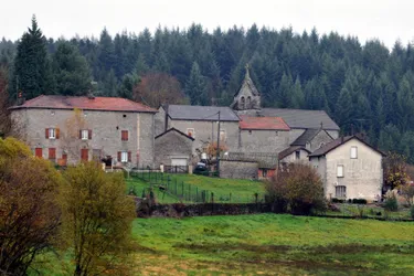 Animaux enchaînés, faméliques et sans eau, dans une ferme insalubre en Creuse : l'agriculteur condamné
