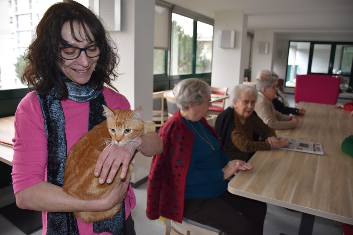 Comment Le Refuge De Plume Facilite L adoption De Chats Aupr s Des comment-le-refuge-de-plume-facilite-l-adoption-de-chats-aupr-s-des