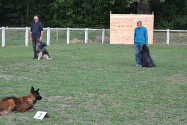 Une compétition canine étaient organisée ce week-end