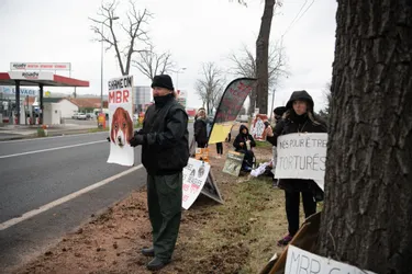 Les opposants à l'élevage de chiens beagles de Gannat (Allier) restent mobilisés