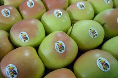 Décriés sur les réseaux sociaux pour des pommes bios importées d'Autriche, Limdor et son directeur se défendent