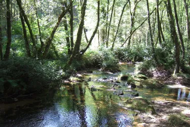 Votre avis sur les rivières intéresse quatre collectivités de Creuse