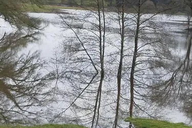A Aulon (Creuse), la pluie a redonné vie à un étang disparu depuis plus d'un siècle