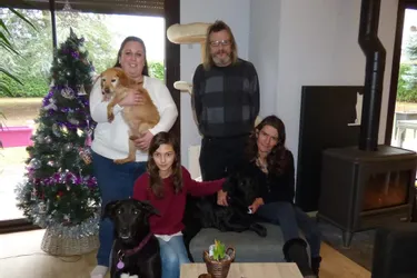 Détresse animaux Auvergne cherche des familles d’accueil