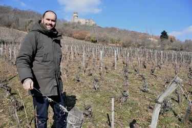 Le vigneron volvicois Vincent Marie exporte ses vins naturels dans le monde entier