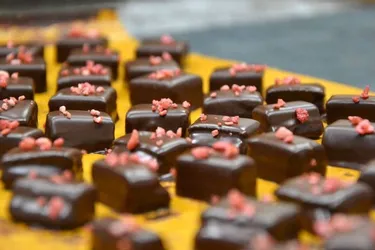 Les secrets d'un chocolatier à Riom