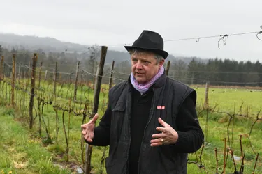 En Creuse, ce viticulteur utilise une machine à fabriquer du brouillard pour protéger ses cultures du gel