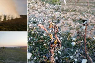- 5° C le matin : le gel de printemps inquiète les vignerons d'Auvergne, qui ne vendent plus une bouteille avec le confinement