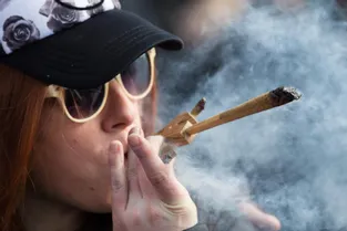 Le Canada légalise le cannabis récréatif : « La France peut s’enorgueillir d’avoir le système le plus répressif derrière celui des États-Unis »