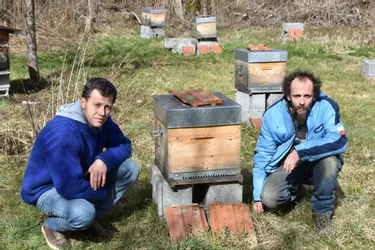 Un rucher pédagogique verra le jour cet été, à Saint-Amant-Roche-Savine