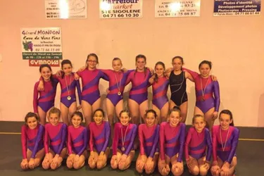 Gymnastique : Belles perf' aux championnats d'Auvergne