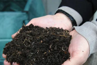 Réseau social : Une application numérique pour faire son propre compost