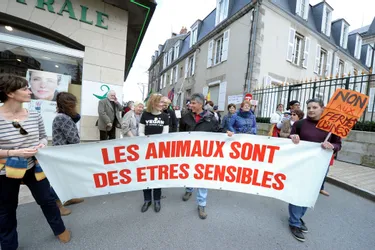 Face aux « anti-viande, anti-élevage, anti-tout » les éleveurs de la Creuse organisent la riposte