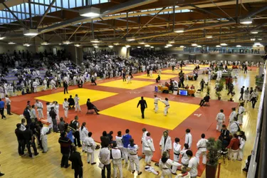 Judo : des podiums à l'Arténium pour le pôle espoir de Clermont ?