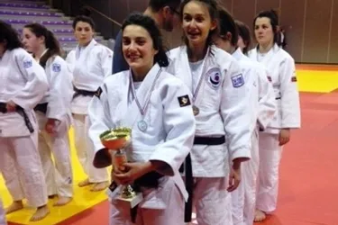 Dix judokas qualifiés pour les « France »
