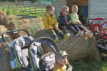 Les petits des assistantes maternelles à la ferme