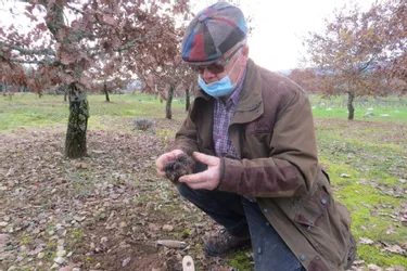 Jean-Claude Pauty utilise la technique de la mouche pour trouver des truffes
