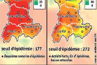 L’épidémie de grippe en plein essor en Auvergne