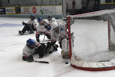 Le hockey luge permet de briser la glace à Clermont-Ferrand