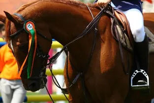 Le Brivadois entre en piste pour les championnats de France d’équitation