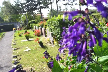 250.000 € de travaux pour agrandir le cimetière paysager