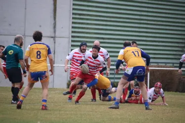 Difficile victoire pour le SCA rugby (17-8)