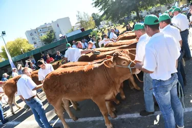 Le festival de l'agriculture et de l'élevage de Panazol se termine aujourd'hui