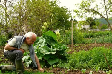 Aurillac : quatre conseils pour jardiner bio