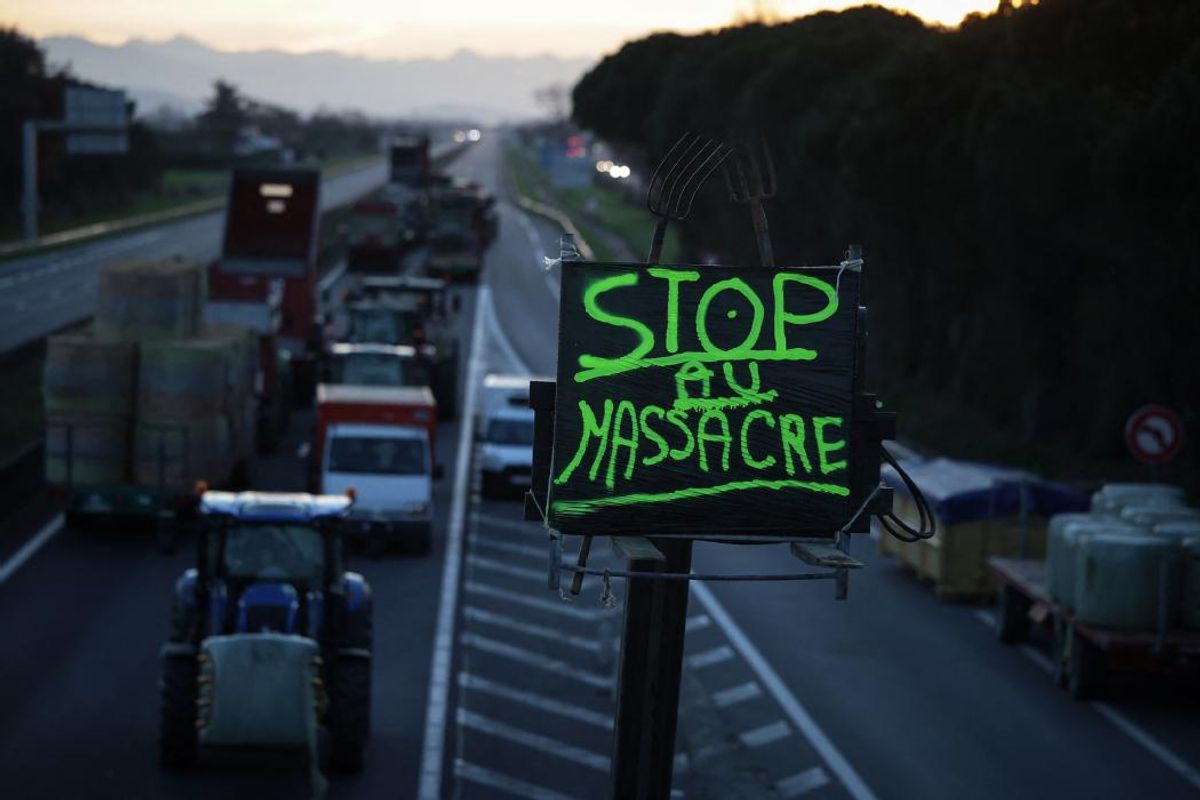 Colère des agriculteurs : des barrages persistent ce samedi sur les ...